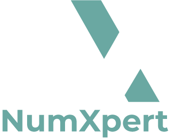 NumXpert